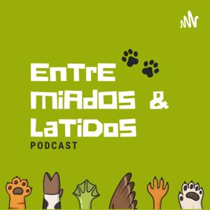 Entre miados & latidos