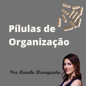 Pílulas de Organização