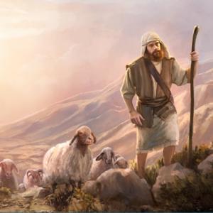 En la senda de Cristo