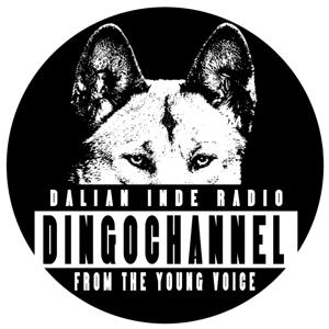 DingoChannel