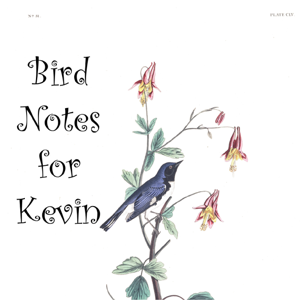 Bird Notes for Kevin