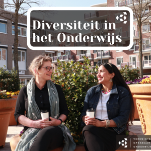 Diversiteit in het Onderwijs