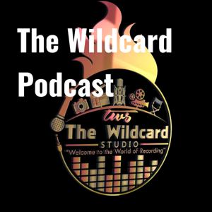 Podcasts at The Wildcard DTLV Studio