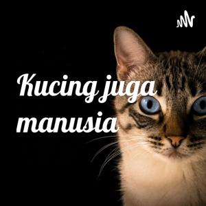 Kucing juga manusia