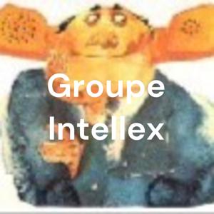 Groupe Intellex