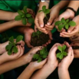 Educação Ambiental