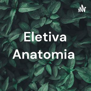 Eletiva Anatomia