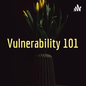 Vulnerability 101