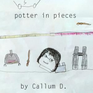 Potter in Pieces