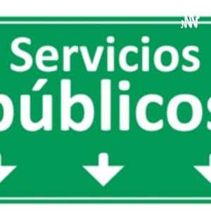 Relación De Los Ciudadanos Con El Servicio Publico