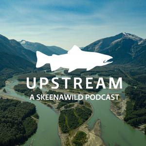 UpStream