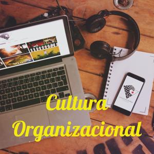 Cultura Organizacional