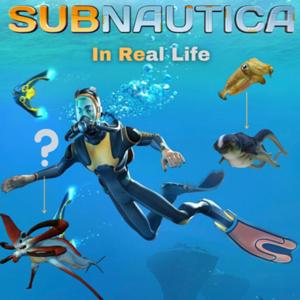 Subnautica: In Real Life by Cameron Neubert