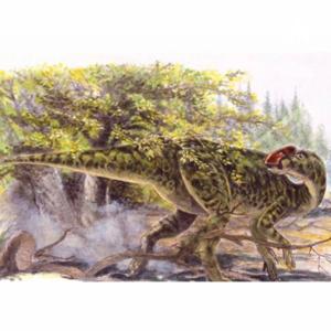 Los 7 Dinosaurios Que Dominaron Mexico 