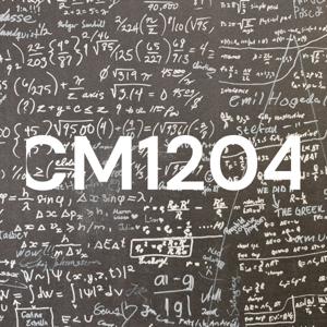 CM1204