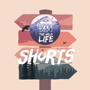 The Wild Life: SHORTS