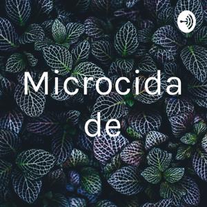 Microcidade