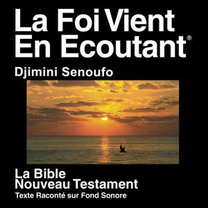 Djimini Senoufo Bible