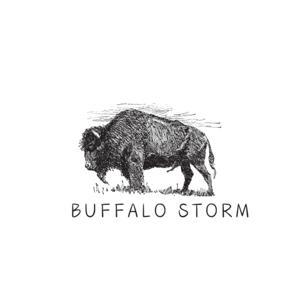 Buffalo Storm