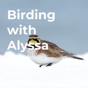 Birding with Alyssa