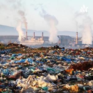 Acciones que disminuyan los efectos de la contaminación