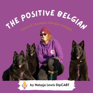 The Positive Belgian