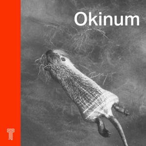 Okinum by Transistor Média, Onishka et Théâtre autochtone du Centre national des Arts