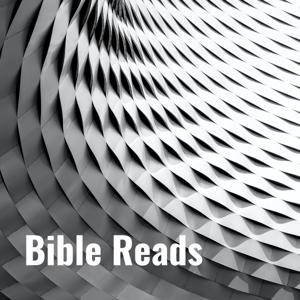 Bible Reads - Be Found In The Word