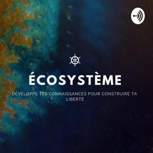 Qu’est-ce que l’Esprit Entrepreneurial ? #2 ÉCOSYSTÈME