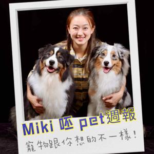 Miki呸pet週報