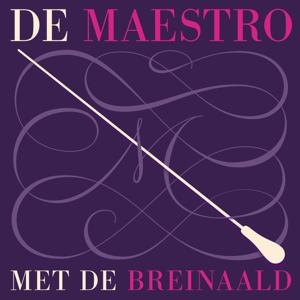 De maestro met de breinaald