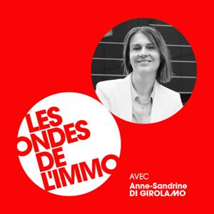 LES ONDES DE L'IMMO