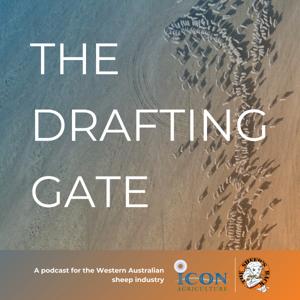 The Drafting Gate