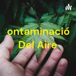 Contaminación Del Aire