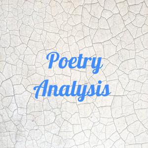 Poetry Analysis