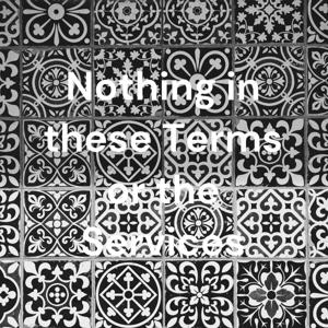 Nothing in these Terms or the Services