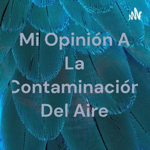 Mi Opinión A La Contaminación Del Aire