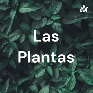 Las Plantas