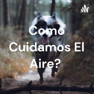 Como Cuidamos El Aire?