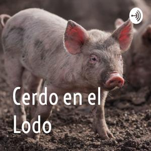 Cerdo en el Lodo