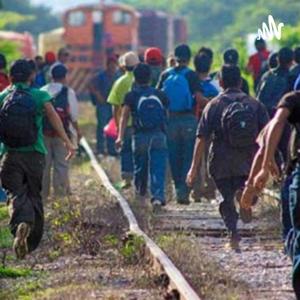 Migración Y Sistema Político