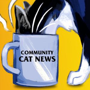 Community Cat News