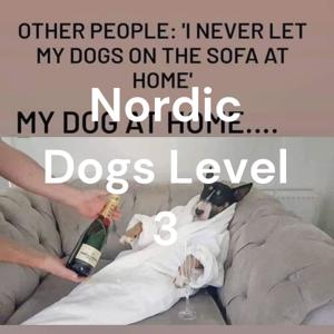 Nordic Dogs Level 3