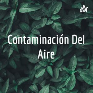 Contaminación Del Aire