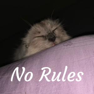 No Rules