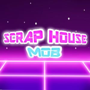 Scrap house