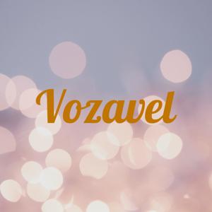Vozavel