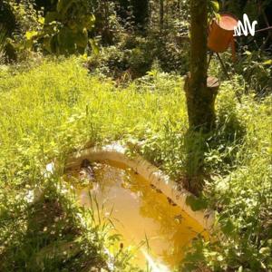 trouvaillix workshop.