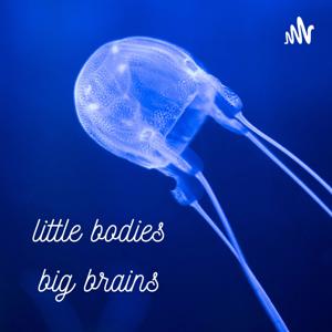 Little Bodies, Big Brains