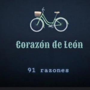 91 Razones